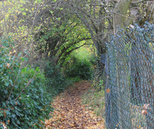 Existing Public Right of Way